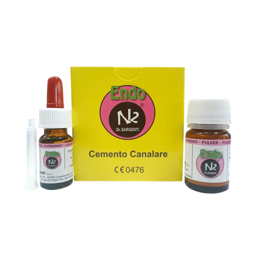 N2 Endo