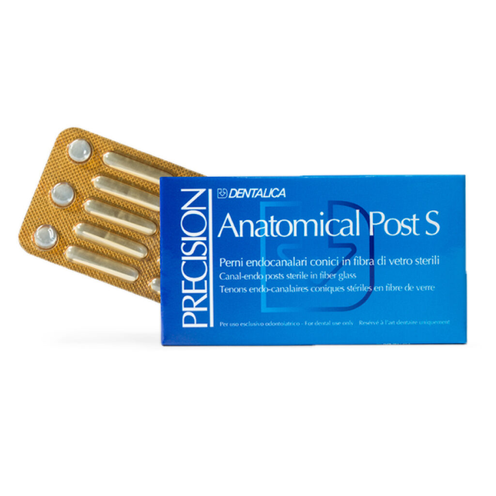 Anatomical Post S Perni