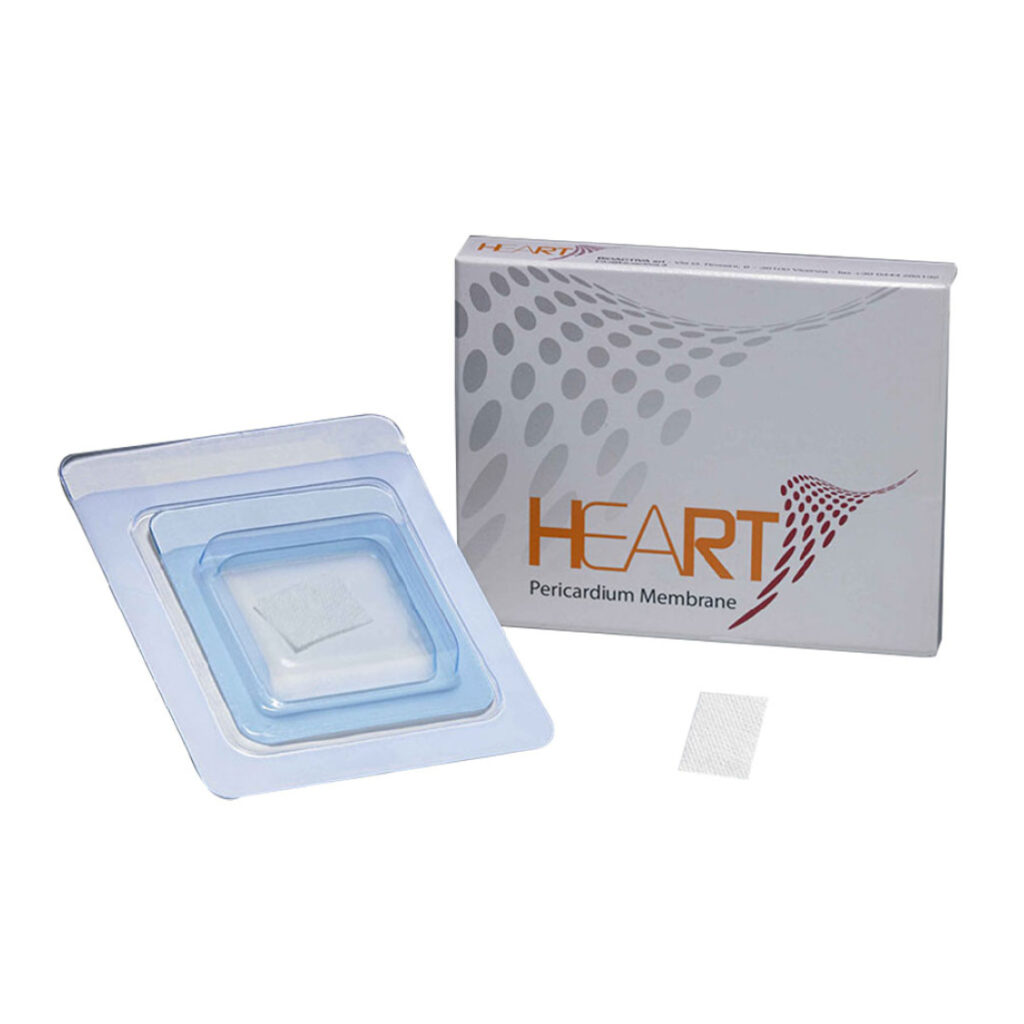 Heart Membrana in Pericardio Equino