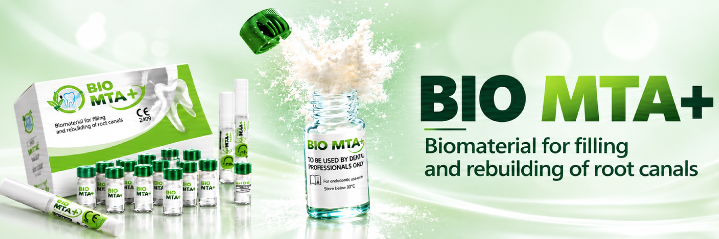 Biomateriale Endocanalare